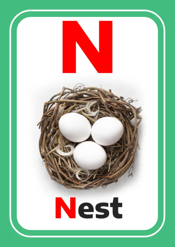 عش — Nest — حرف N
