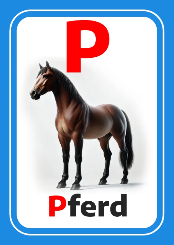 حصان — Horse — حرف P