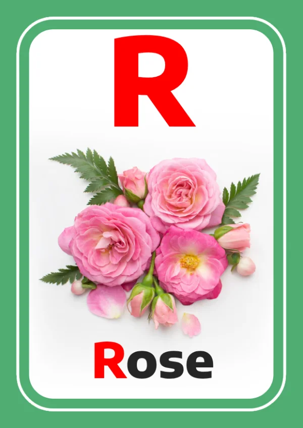 وردة — Rose — حرف R