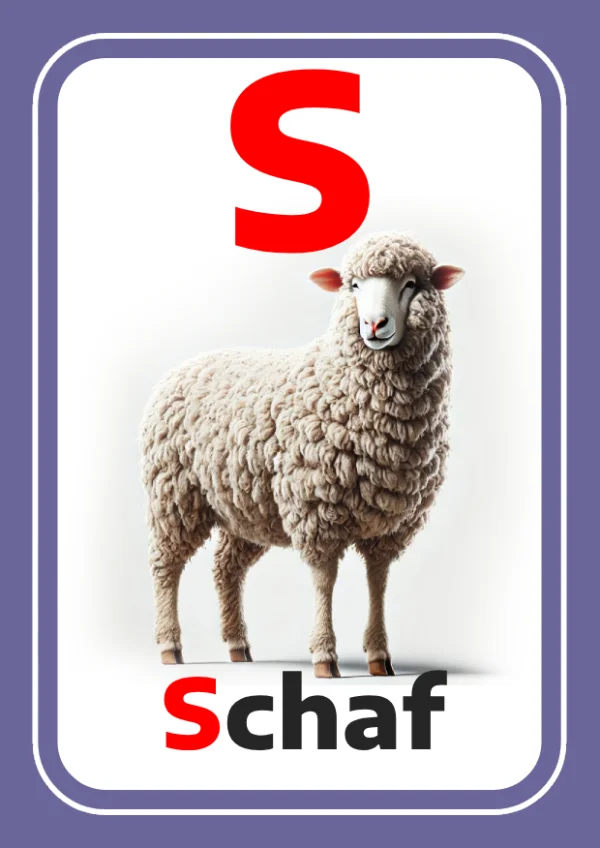 خروف — Sheep — حرف S