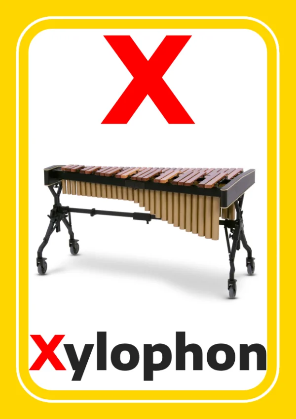 إكسليفون — Xylophone — حرف X