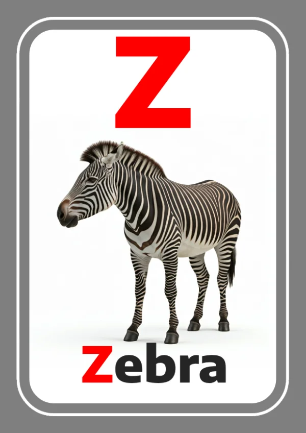 حمار وحشي — Zebra — حرف Z