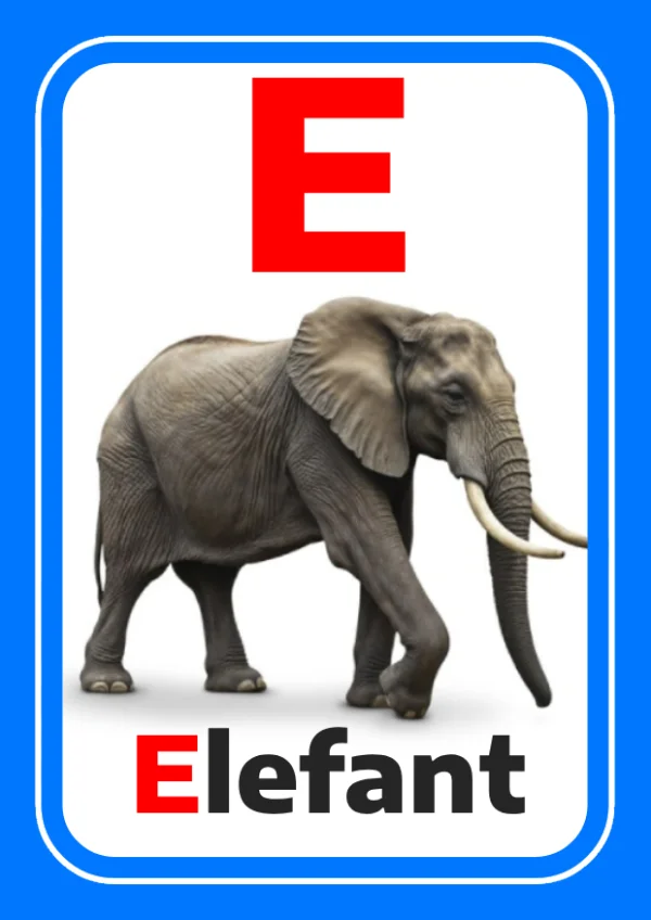 فيل — Elephant — حرف E