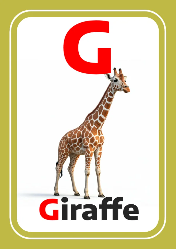 زرافة — Giraffe — حرف G