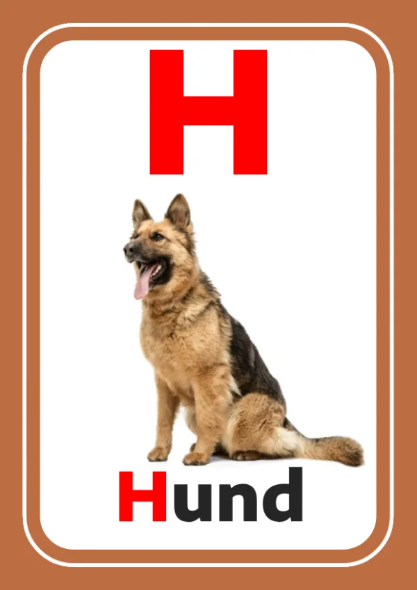 كلب — Dog — حرف H