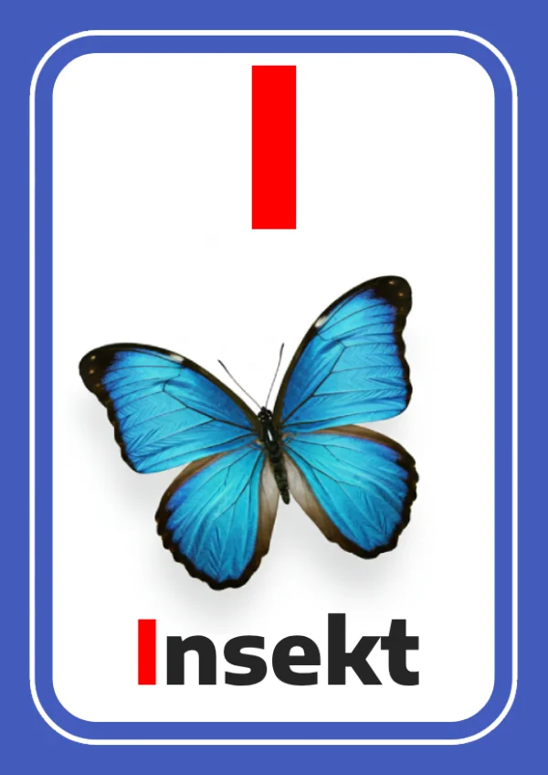 حشرة — Insect — حرف I