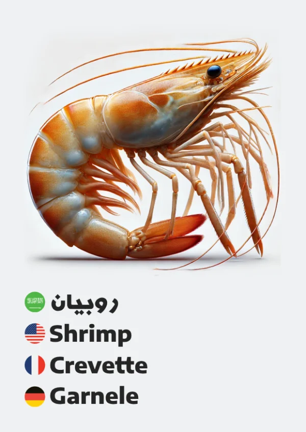 روبيان — Shrimp