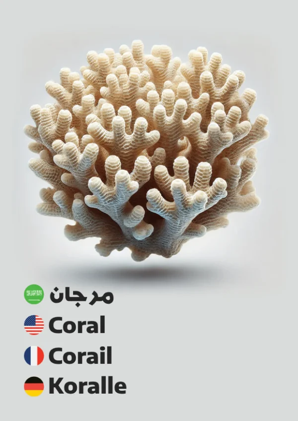 مرجان — Coral