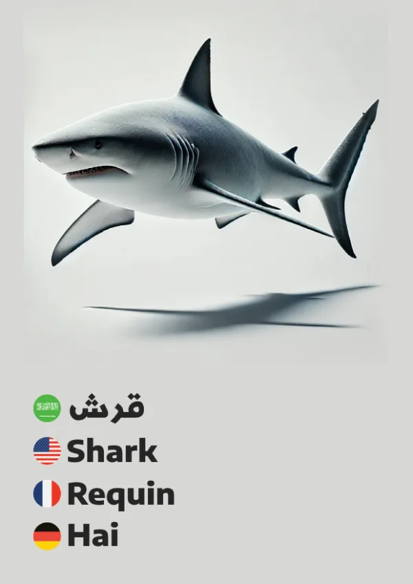قرش — Shark