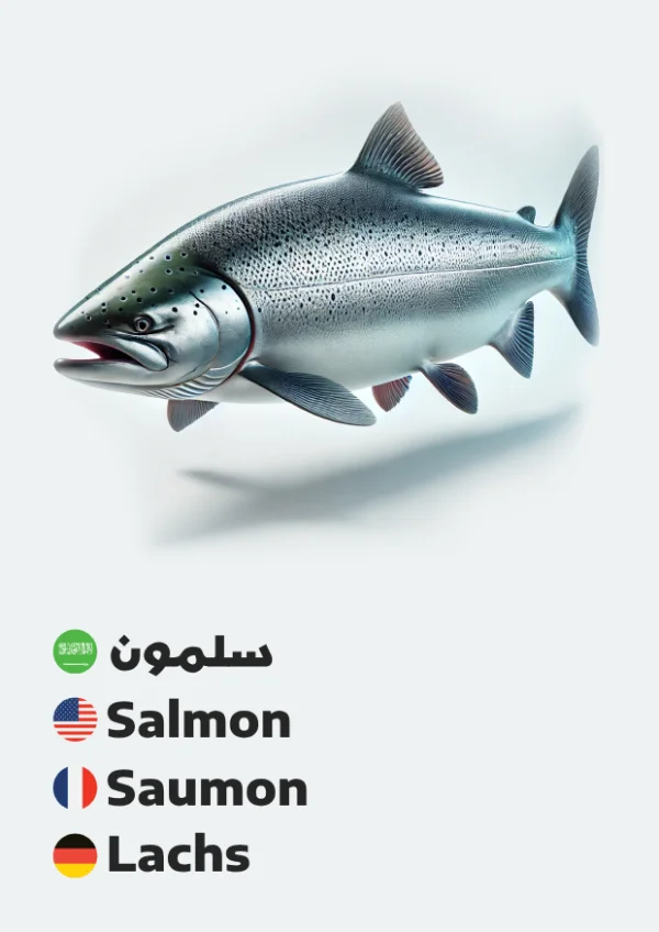 سلمون — Salmon