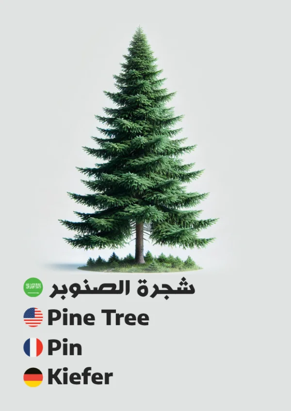 شجرة الصنوبر — Pine Tree