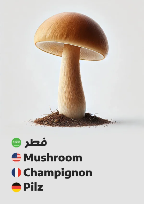 فطر — Mushroom