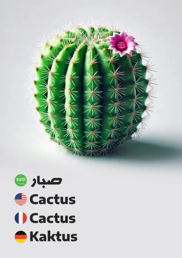 صبار — Cactus