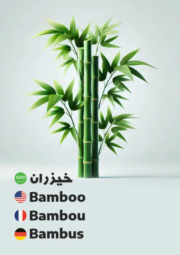 خيزران — Bamboo