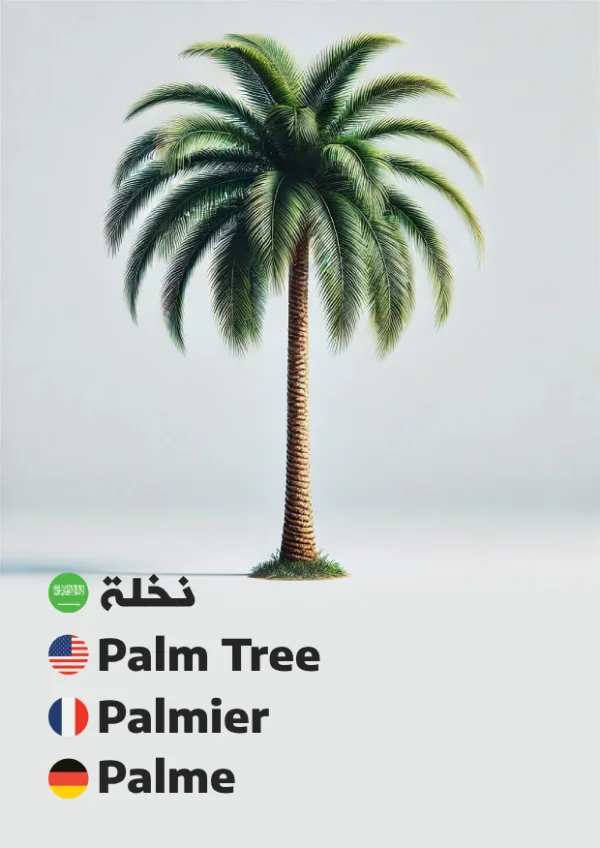 نخلة — Palm Tree