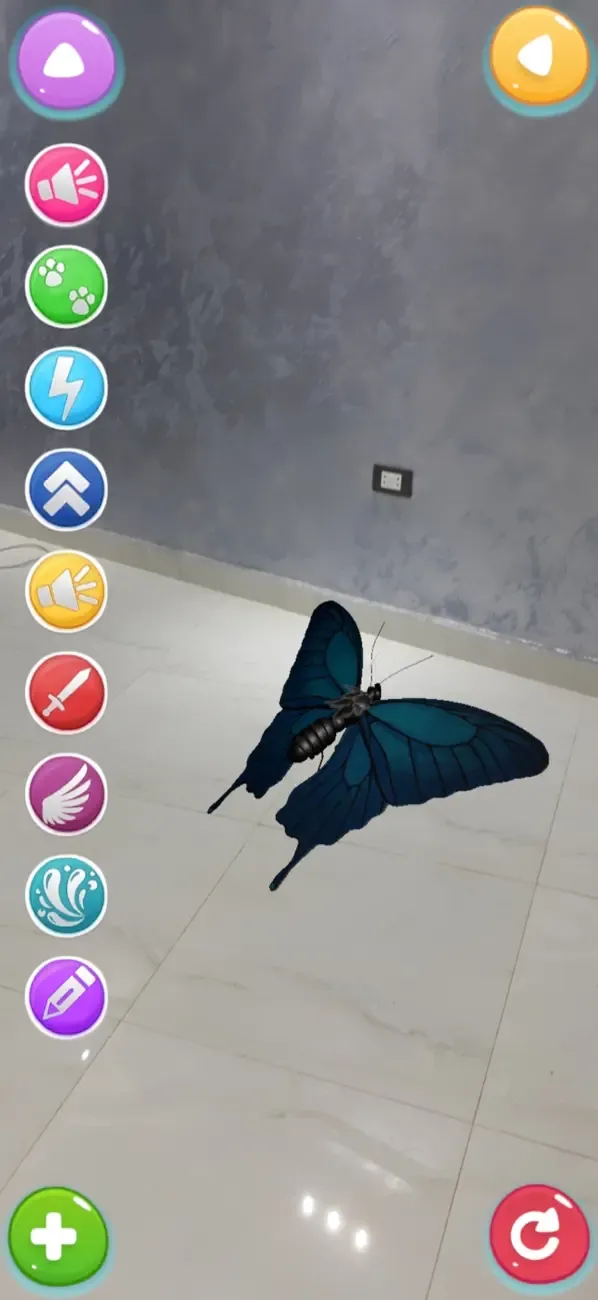 Animals AR 4D — 5