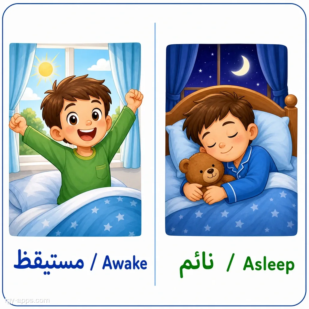 مستيقظ ↔ نائم | Awake ↔ Asleep