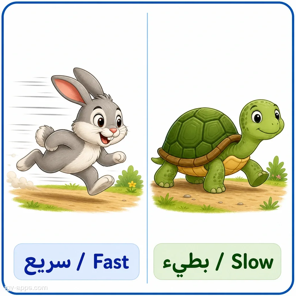 سريع ↔ بطيء | Fast ↔ Slow