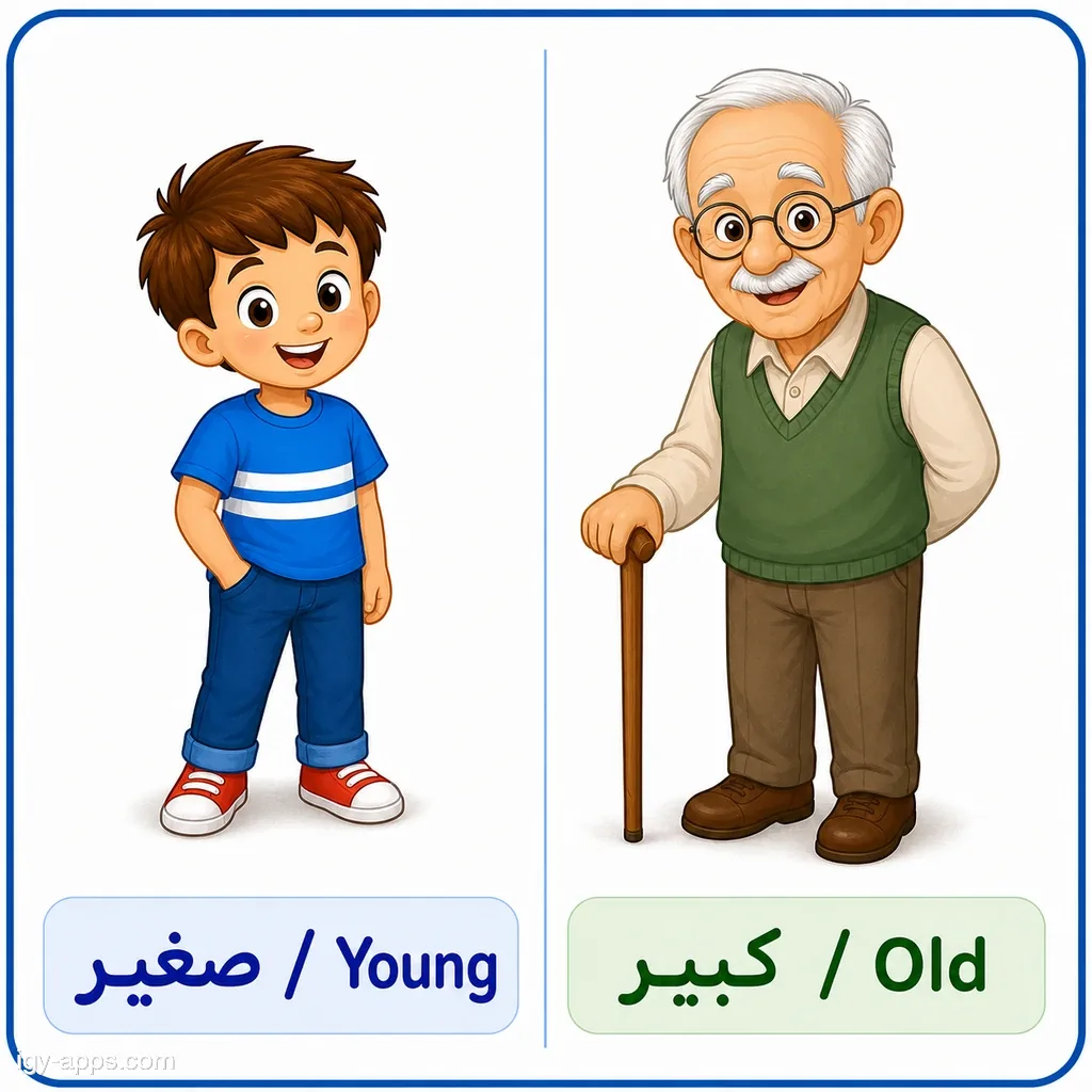 صغير/شاب ↔ كبير/عجوز | Young ↔ Old