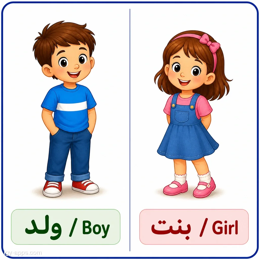 ولد ↔ بنت | Boy ↔ Girl
