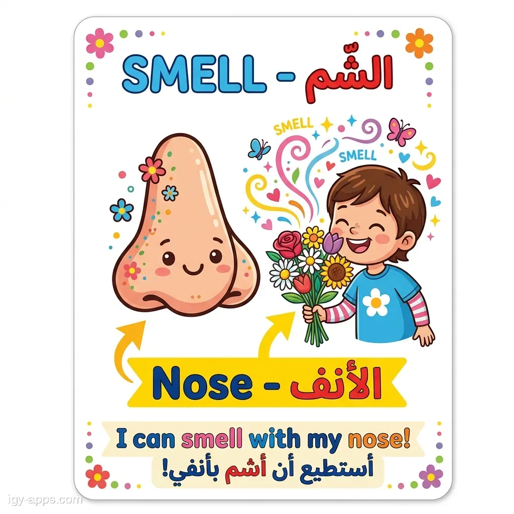 كارت حاسة الشم — الأنف
